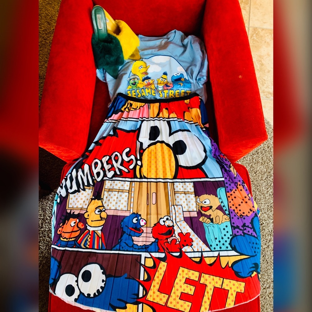 Pleated Fun Print Sesame Street Skirt